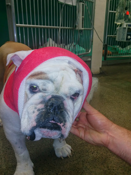 "Actually, I do feel better."