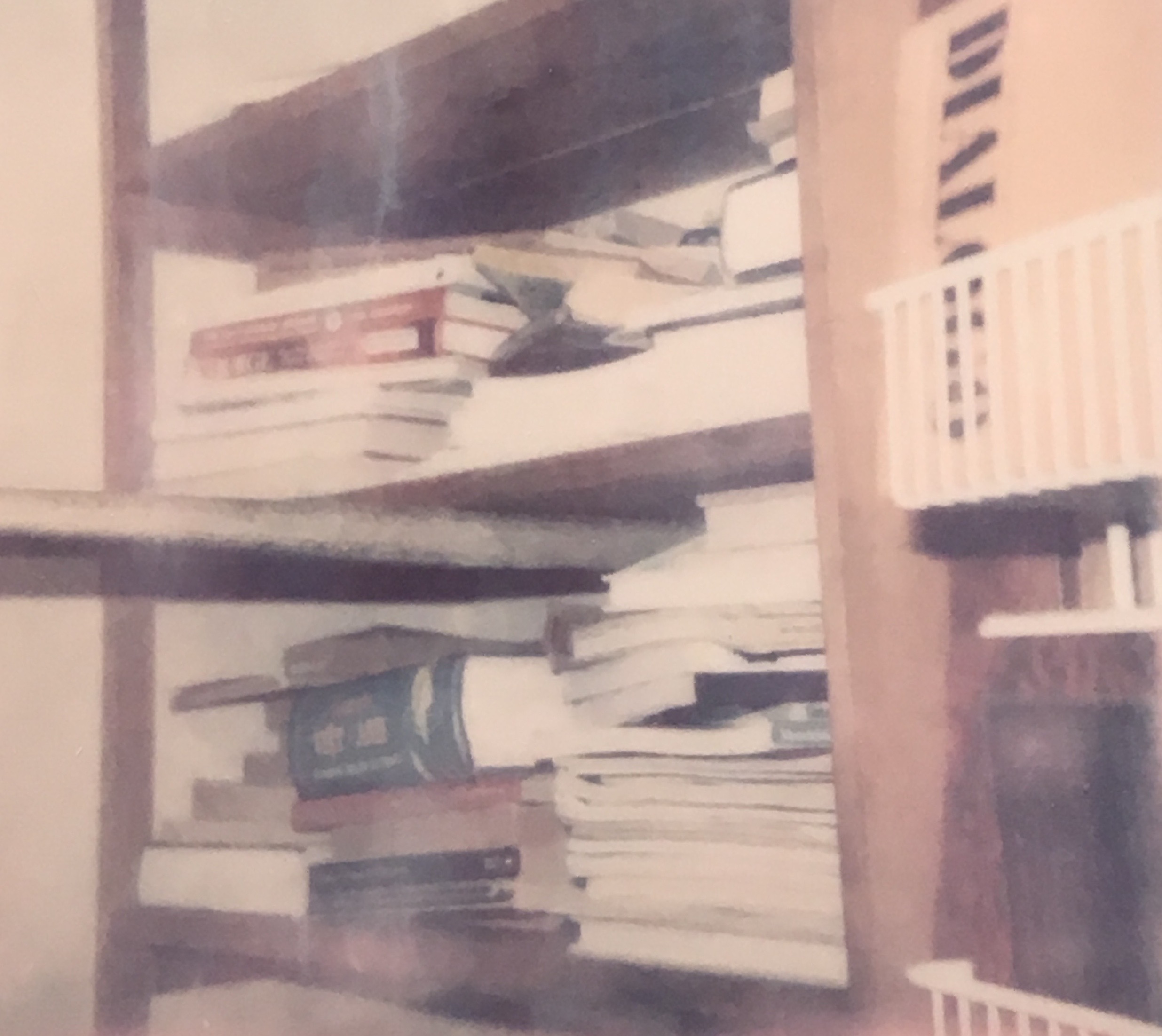 polaroid of bookshelves
