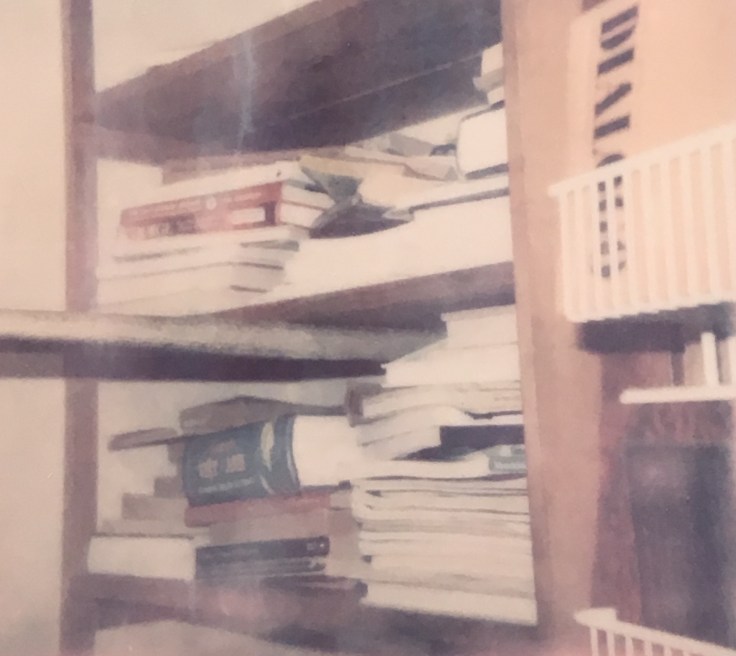 polaroid of bookshelves